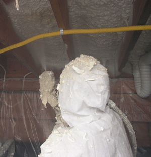Santa Rosa CA crawl space insulation
